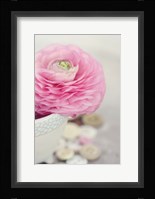 Softy Elegant II Fine Art Print
