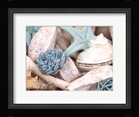 Bundle of Shells II Fine Art Print