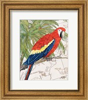Another Bird in Paradise I Fine Art Print