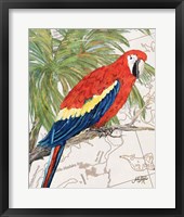 Another Bird in Paradise I Fine Art Print
