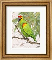 Another Bird in Paradise II Fine Art Print
