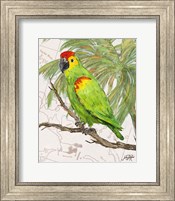 Another Bird in Paradise II Fine Art Print