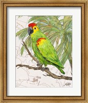 Another Bird in Paradise II Fine Art Print