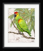 Another Bird in Paradise II Fine Art Print