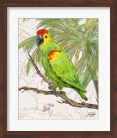 Another Bird in Paradise II Fine Art Print