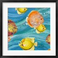 Aquatic Sea Life I Fine Art Print