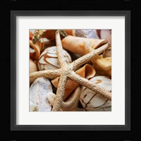 Gold Starfish I Fine Art Print