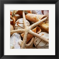 Gold Starfish I Framed Print