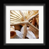 Gold Starfish II Fine Art Print