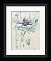 Fresh Poppies II Framed Print