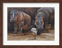 Baby Hippos Fine Art Print
