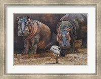 Baby Hippos Fine Art Print