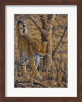 Leopard Walking Fine Art Print