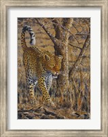 Leopard Walking Fine Art Print