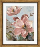 Magnolias Aglow I Fine Art Print