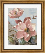 Magnolias Aglow I Fine Art Print