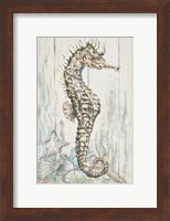 Antique Sea Horse I Fine Art Print