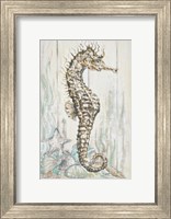 Antique Sea Horse I Fine Art Print