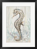 Antique Sea Horse II Fine Art Print