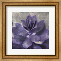 Lavender Succulent I Fine Art Print
