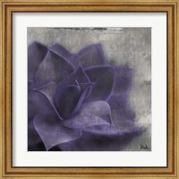 Lavender Succulent II Fine Art Print