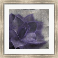 Lavender Succulent II Fine Art Print