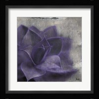 Lavender Succulent II Framed Print