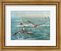 Pelican Beach Fine Art Print