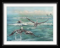 Pelican Beach Fine Art Print