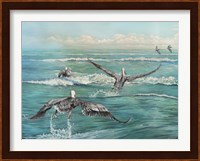 Pelican Beach Fine Art Print