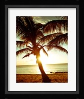 Bimini Sunset I Fine Art Print