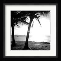 BW Bimini Sunset II Fine Art Print