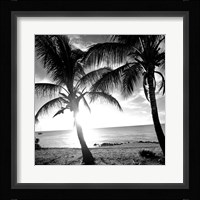 BW Bimini Sunset I Fine Art Print