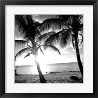 BW Bimini Sunset I Fine Art Print