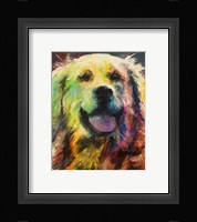 Happy Companion I Framed Print