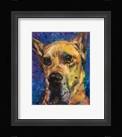 Happy Companion II Fine Art Print