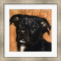 Puppy Dog Eyes I Fine Art Print