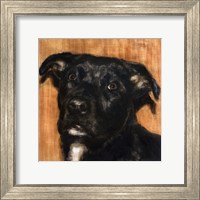 Puppy Dog Eyes I Fine Art Print