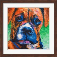Puppy Dog Eyes II Fine Art Print