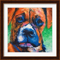 Puppy Dog Eyes II Fine Art Print