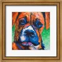 Puppy Dog Eyes II Fine Art Print