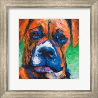 Puppy Dog Eyes II Fine Art Print