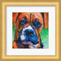 Puppy Dog Eyes II Fine Art Print