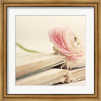 Peony Books Square Fine Art Print