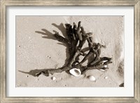 Coral on Sand Fine Art Print