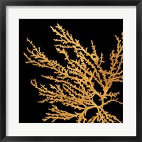 Coastal Coral on Black I Fine Art Print