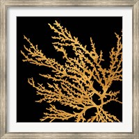 Coastal Coral on Black I Fine Art Print