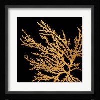 Coastal Coral on Black I Framed Print