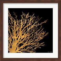 Coastal Coral on Black II Fine Art Print