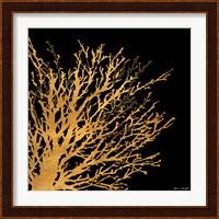 Coastal Coral on Black II Fine Art Print